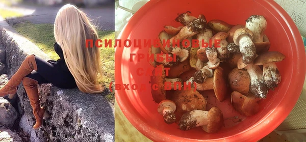 a pvp Алексин