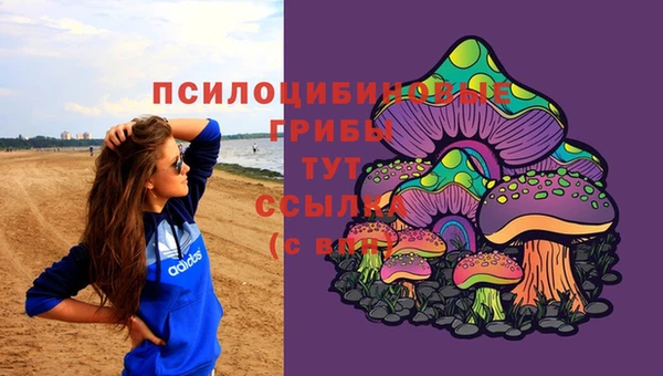 a pvp Алексин
