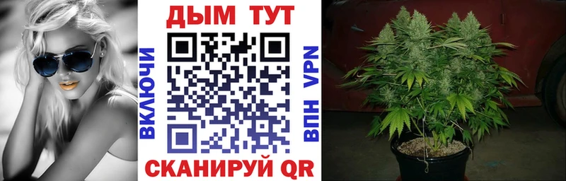 Бошки марихуана THC 21% Северская